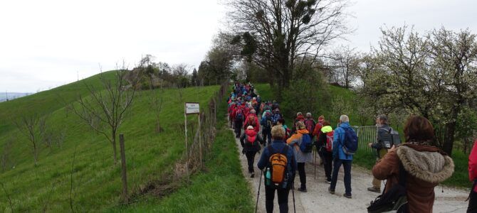 Košaški Griči 18.4.2023 PD Pohorje Zg. Polskava – veteranski odsek