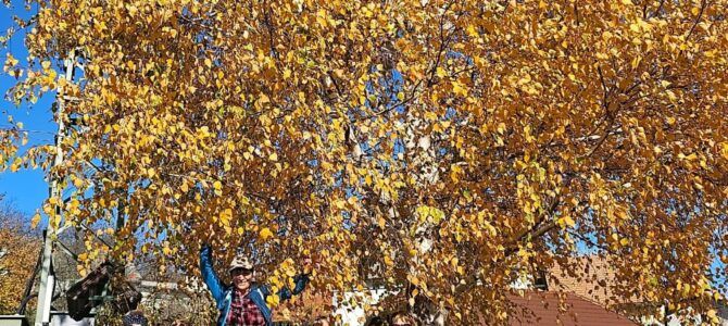 Veterani PD Pohorje Zgornja Polskava na jesenskem pohodu na grad Gromberg 5.11.2025 Veterani PD Pohorje Zgornja Polskava na jesenskem pohodu na grad Gromberg 5.11.2025