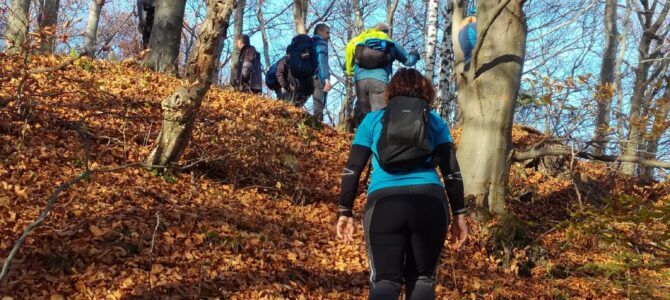 SNEŽNIK s Planinskim društvom Pohorje Zg. Polskava sobota, 18. 4. 2026