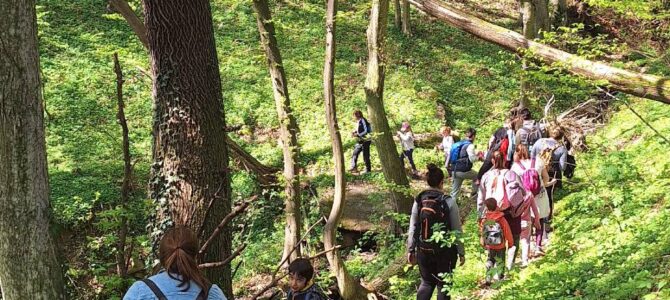 OTROŠKI POHOD – DONAČKA GORA 3.10.2026 OB 9h S PLANINSKIM DRUŠTVOM POHORJE ZG. POLSKAVA