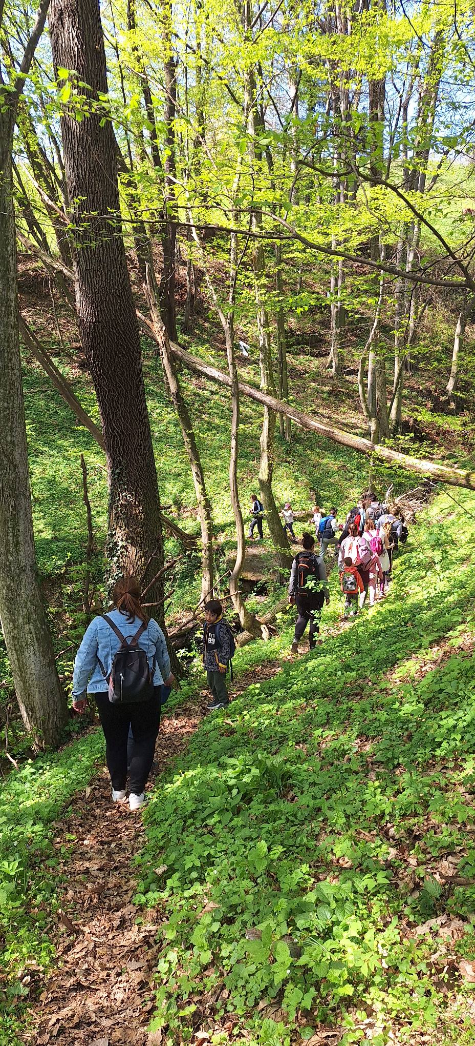 OTROŠKI POHOD – DONAČKA GORA 3.10.2026 OB 9h S PLANINSKIM DRUŠTVOM POHORJE ZG. POLSKAVA