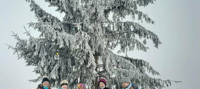 Veterani PD Pohorje Zg. Polskava smo se podali na zimski pohod na Urban nad Kamnico 21.1.2026